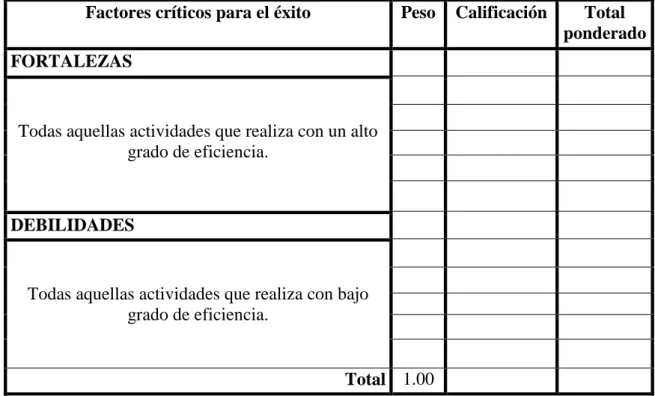 Cuadro No.12                                                         MATRIZ EFI 