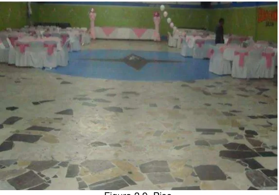 Figura 2.8. Techo  