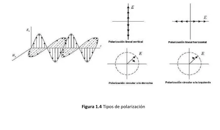 Figura 1.4 Tipos de polarización 