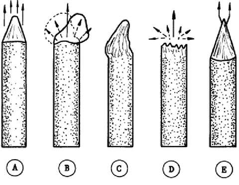 Figura I.8.- Tipos de punta de los electrodos [10].