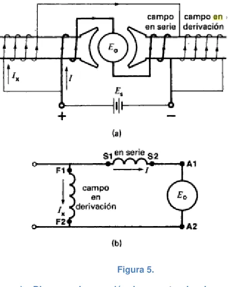 Figura 5.  