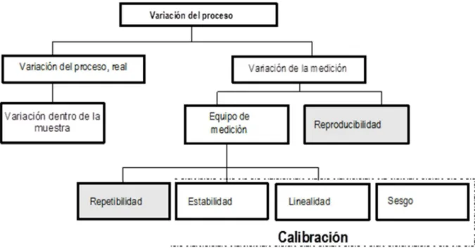Figura 1.4 Fuentes de Variación