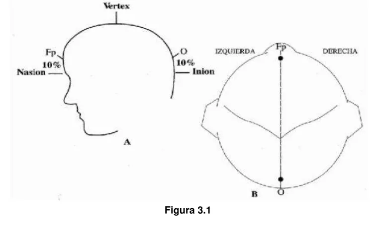 Figura 3.1 