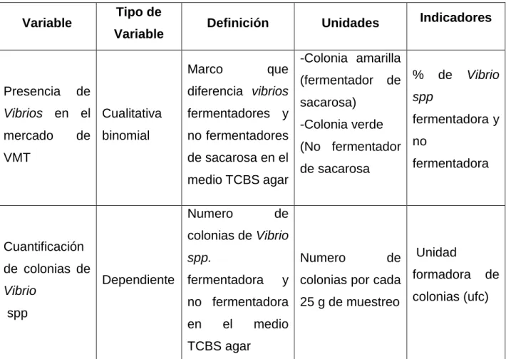 Tabla 01: Descripción de las variables a investigar. 