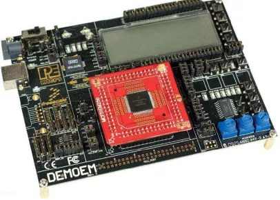 Figura 14. Microcontrolador MCF51EM256 
