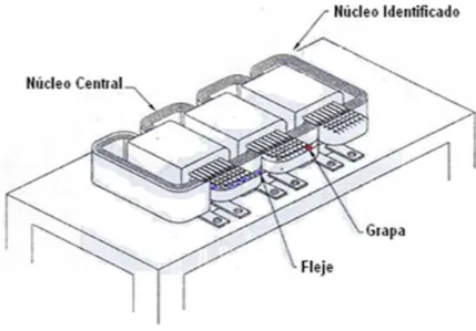 Figura 10.  Identificación de Núcleo y Flejado.   
