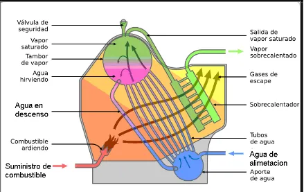 Figura 1.2 Representación de una caldera acuatubular. 