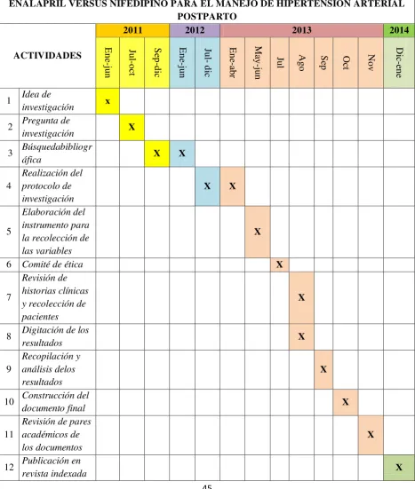 Tabla 5 Cronograma de estudio 