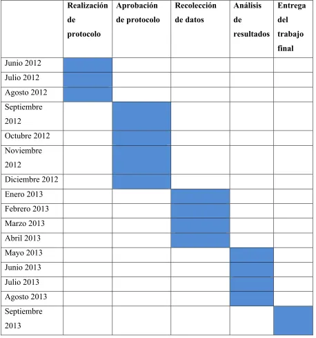 Tabla 4. Cronograma de actividades 
