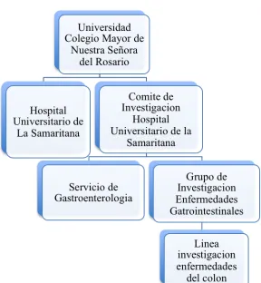 Figura 1. Organigrama 
