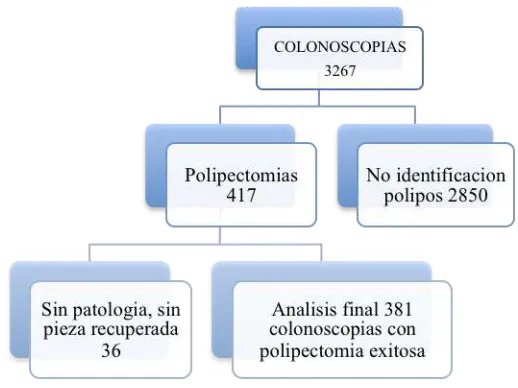 Figura 2. Aleatorización de pacientes.  