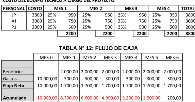 TABLA Nº 12: FLUJO DE CAJA 