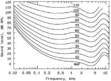 Figura 1.14 Niveles de Sonoridad 
