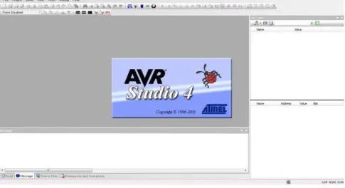 Figura 24 Software AVRstudio 4.19. 