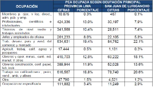 Cuadro 5:  PEA Ocupada, según ocupación principal. 