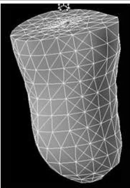 Fig. III.11 Enmallado digital con la herramienta “TERRAIN” del programa de diseño Autodesk 3D Max Studio 