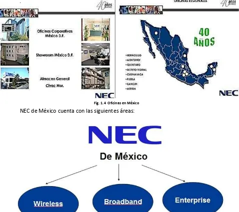 Fig. 1.5  Áreas NEC de México S.A. de C.V. 