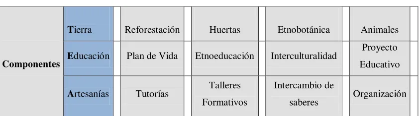 Tabla 3. Componentes del Proyecto TEA. 