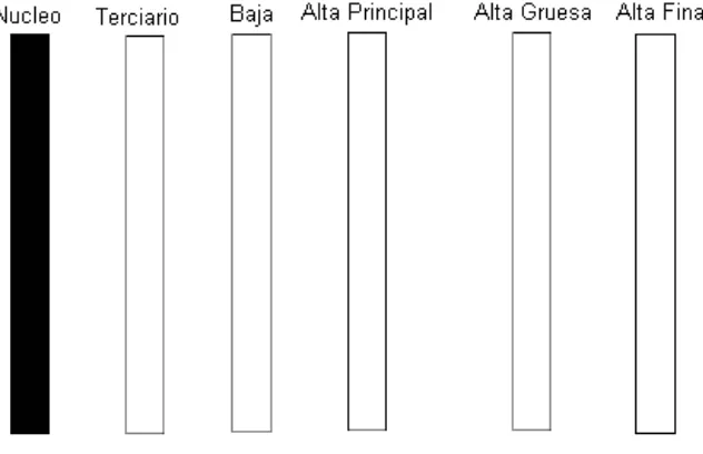 Figura 1.6. Devanados del preselector tipo inversor. 