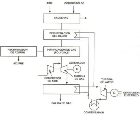 Figura No. 3-7.- Diagrama de una planta de ciclo combinado. [14] 