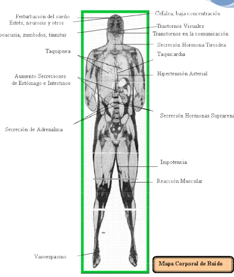 FIG 3.2.1 MAPA CORPORAL PARA RUIDO, QUE RESUME GRÁFICAMENTE LOS EFECTOS A LASALUD
