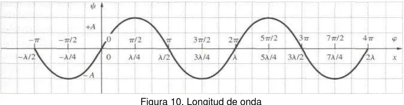 Figura 10. Longitud de onda  
