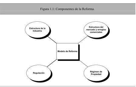 Figura 1.1: Componentes de la Reforma. 