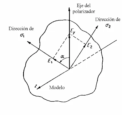Figura 3.4. Componentes de los vectores luz los cuales se transmiten a través del analizador de un 