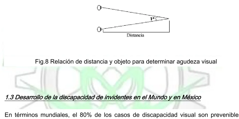 Fig.8 Relación de distancia y objeto para determinar agudeza visual 