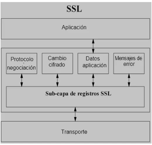 FIGURA  2.12 CAPAS SSL