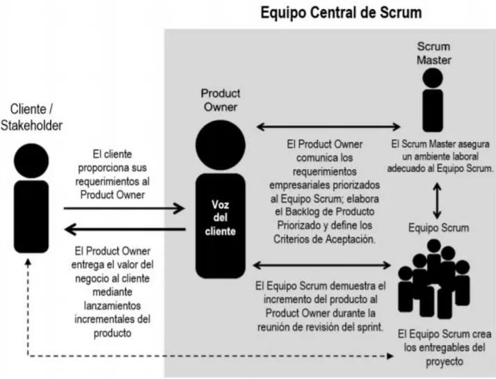 Ilustración 7. Estructura de la organización Scrum 
