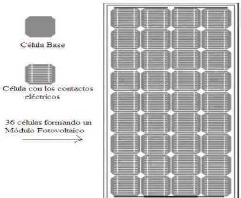 Figura 2.4 Componentes de un modulo fotovoltaico 