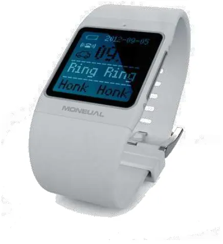 Figura 1.4: MONEUAL SMART CARE. [6] 