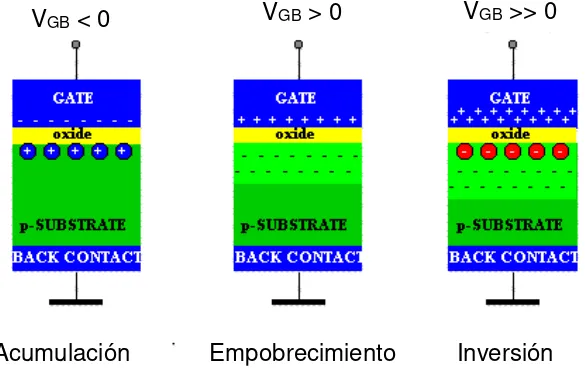 Figura 2.2. Cargas en una estructura MOS tipo-n (substrato tipo-p) bajo condiciones de acumulación, empobrecimiento e inversión