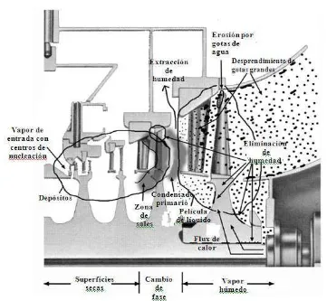 Figura 1-6.  Sección transversal de una turbina de baja presión mostrando los procesos de erosión por humedad [12]