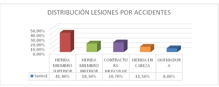 Figura 2. Distribución de los accidentes según el tipo de lesión, 2010  - 2014 