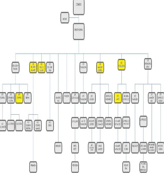 FIGURA 4.- ORGANIGRAMA DE LA EMPRESA CEAPSA 