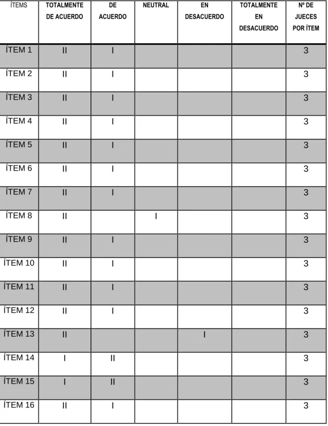 Tabla 4: Resumen de validación 