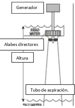 Fig. 1.5. Esquema del la turbina para bajas caídas de Energy Systems & Design. 