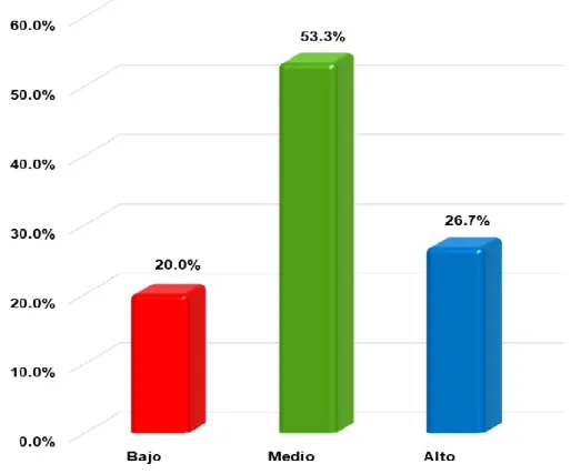 Gráfico Nº 2