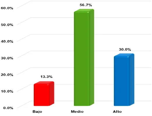 Gráfico Nº 3 