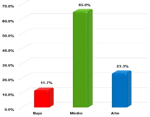 Gráfico Nº 4