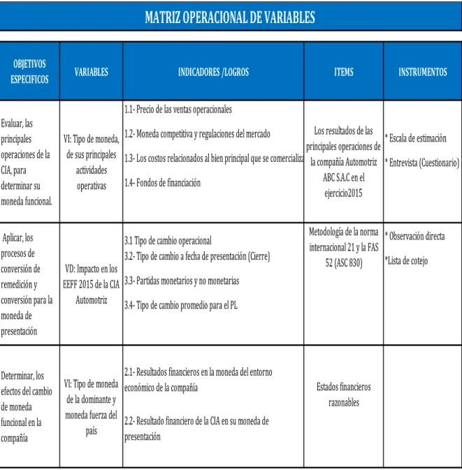 Cuadro 4 Matriz operacional de variables 