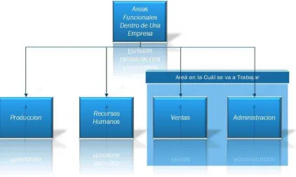 Figura 12 Área de enfoque del proyecto. 