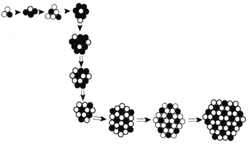 Figure I.2:  Formation of a molecular conglomerate (Schmelzer, 2005). 