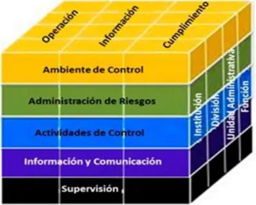 Figura N° 1: Modelo cubo COSO 3 