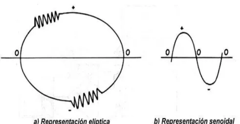 Figura 2.3  Representación de una DP. 