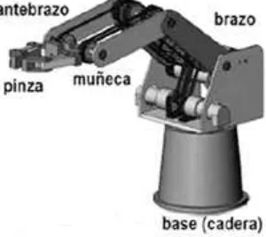 Figura 2.1: Composición mecánica de un robot ﬁjo [1].