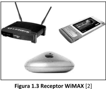 Figura 1.2 Transmisor WiMAX [2] 
