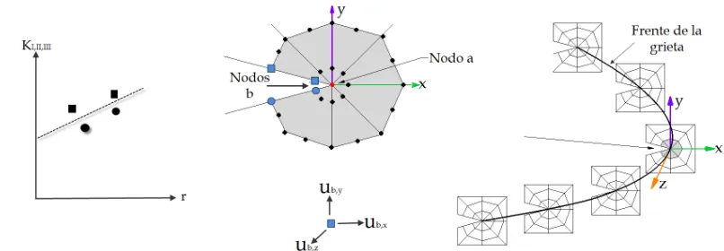 Figura 3.6: Esquema de un sistema coordenado local para determinar el SIF mediante el m´etodo deextrapolaci´on de desplazamientos.